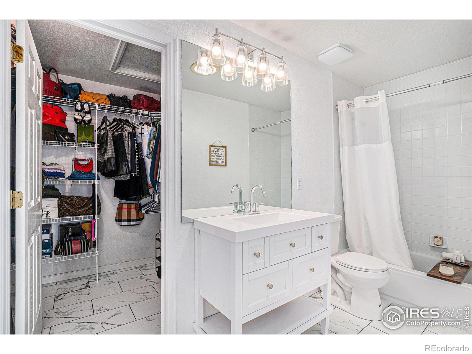 MLS Image #14 for 3525  auntie stone street,fort collins, Colorado