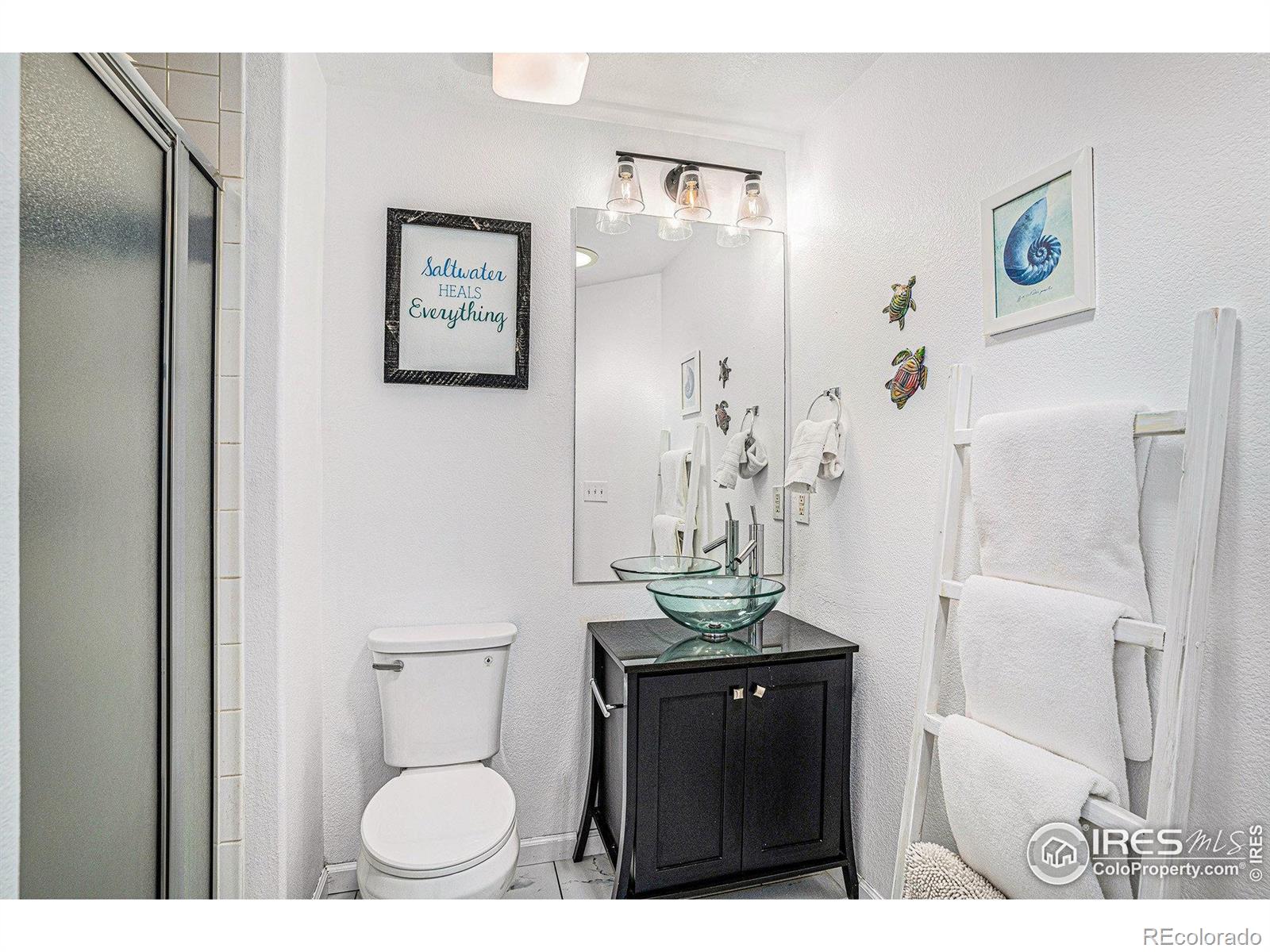MLS Image #16 for 3525  auntie stone street,fort collins, Colorado