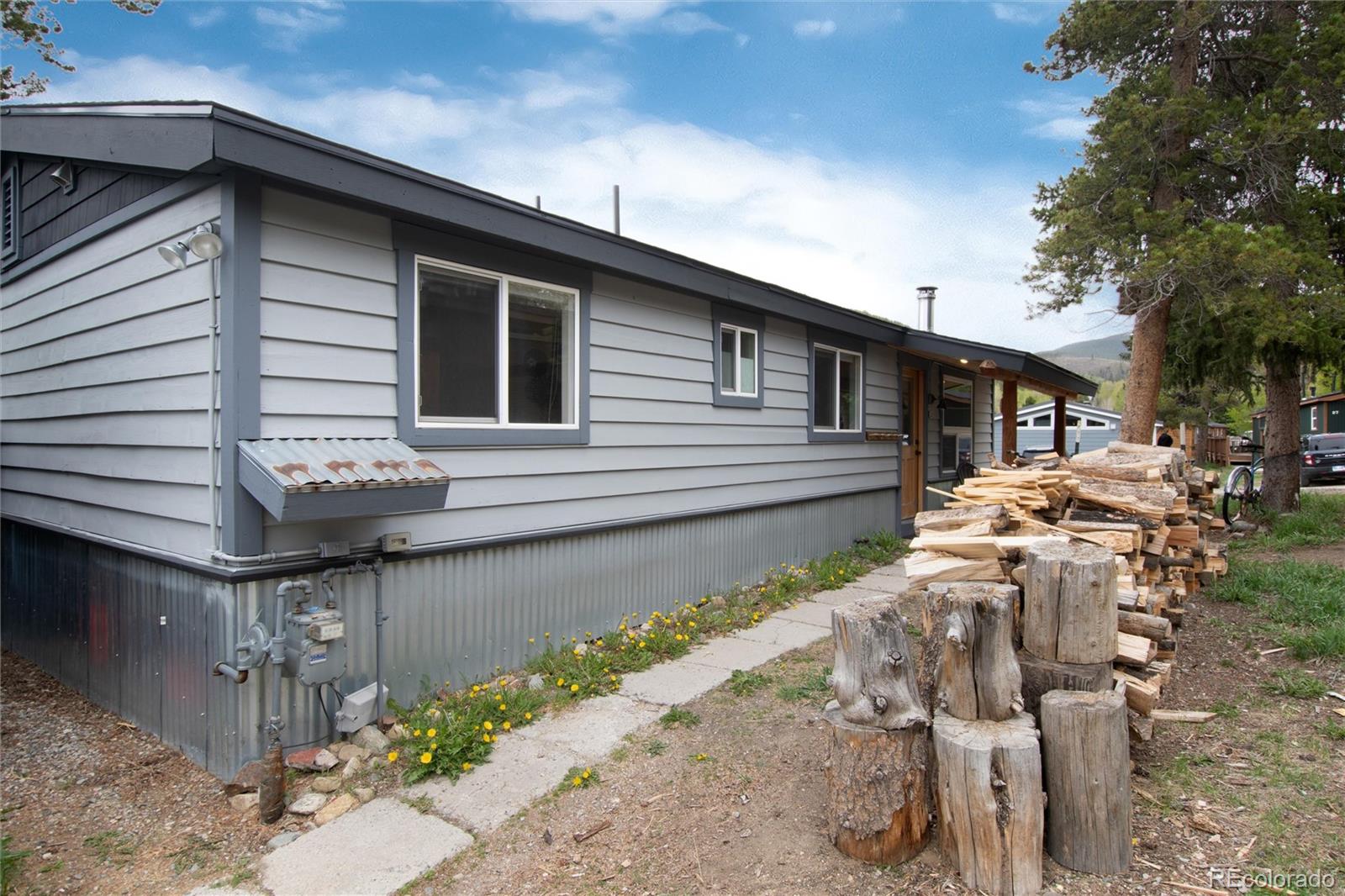 MLS Image #24 for 32  magnum bonum drive,breckenridge, Colorado