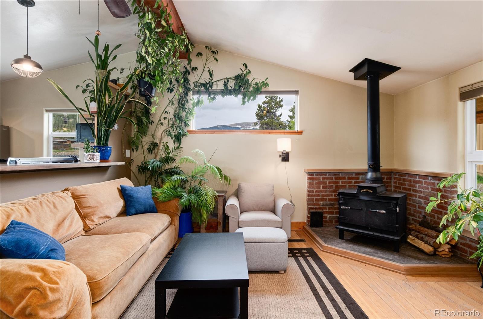 MLS Image #8 for 32  magnum bonum drive,breckenridge, Colorado