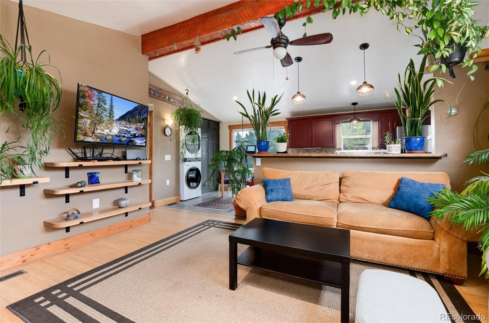 MLS Image #9 for 32  magnum bonum drive,breckenridge, Colorado