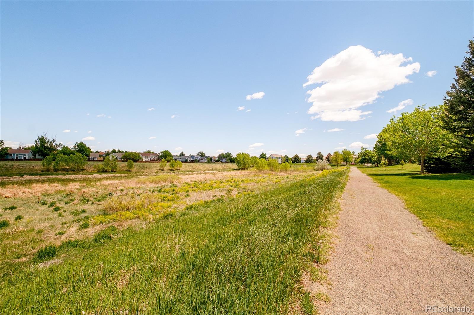 MLS Image #38 for 19595  mitchell drive,denver, Colorado