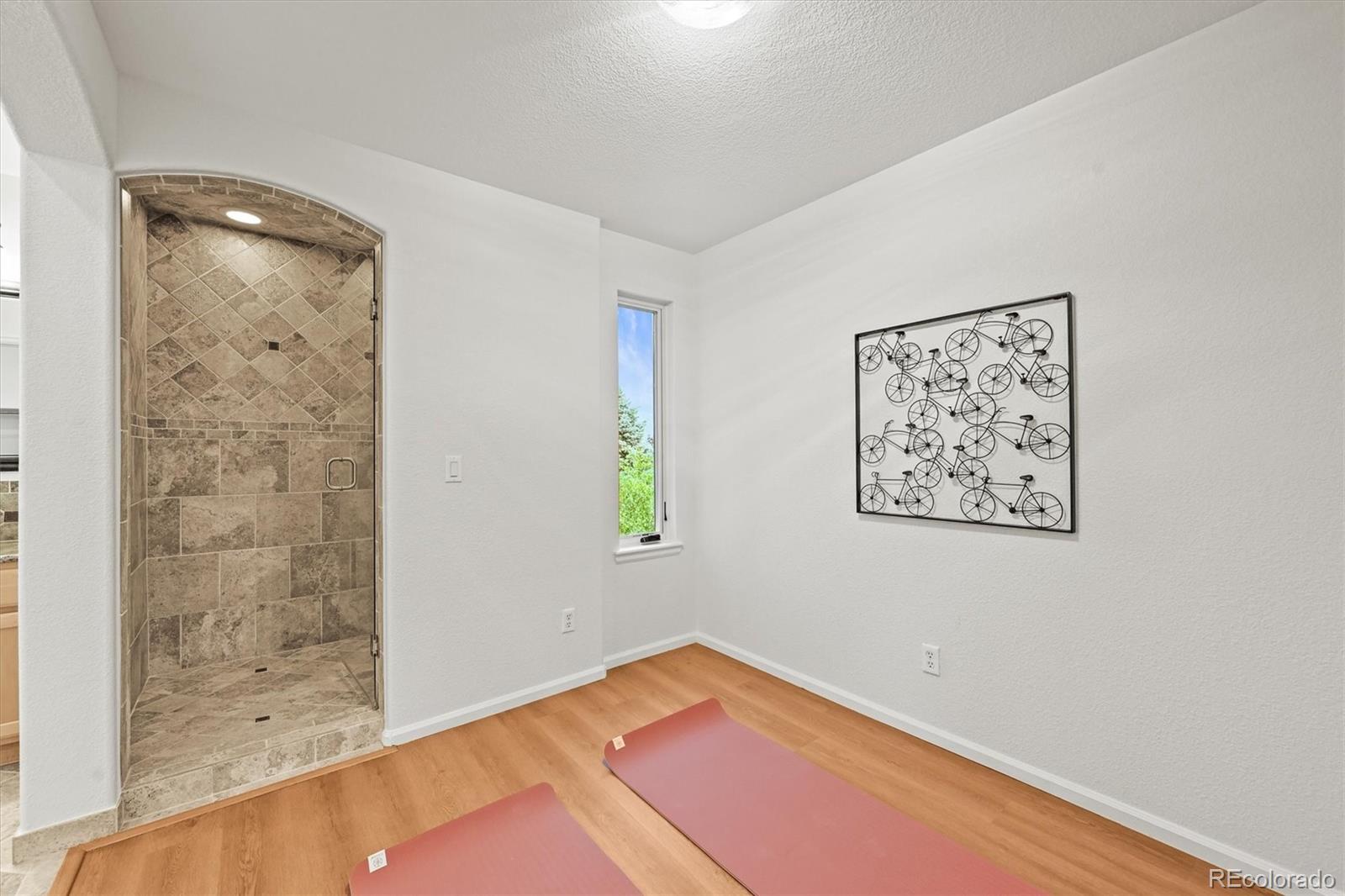 MLS Image #32 for 10235  rustic redwood lane,highlands ranch, Colorado