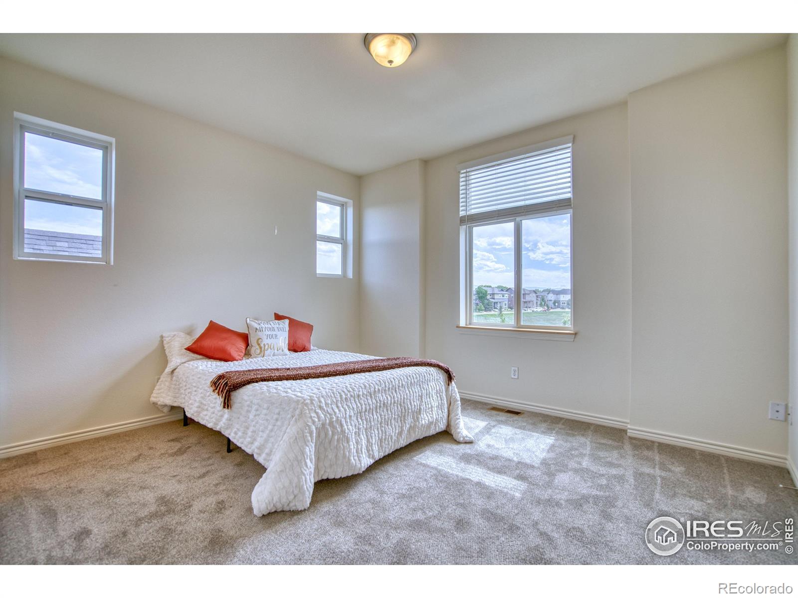 MLS Image #10 for 1240  wren court,longmont, Colorado