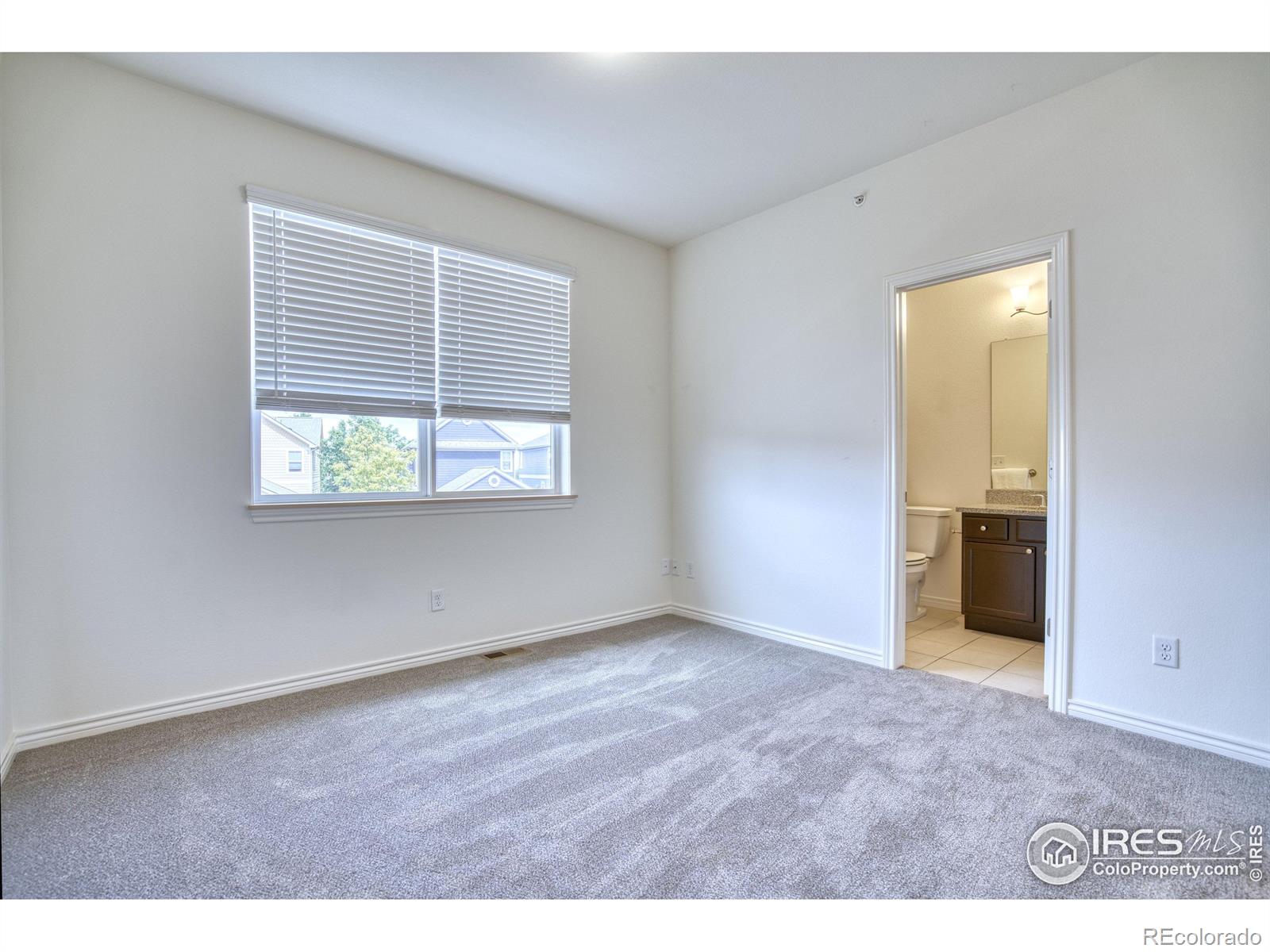MLS Image #19 for 1240  wren court,longmont, Colorado
