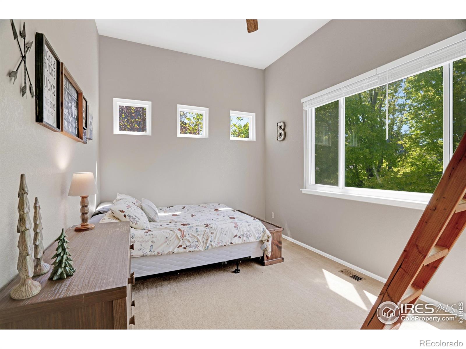 MLS Image #17 for 6488  tilbury avenue,firestone, Colorado