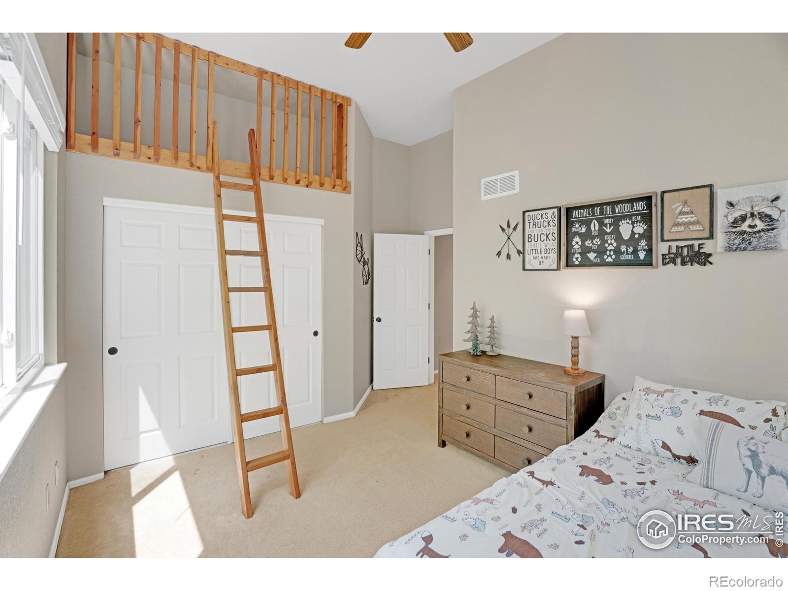 MLS Image #18 for 6488  tilbury avenue,firestone, Colorado