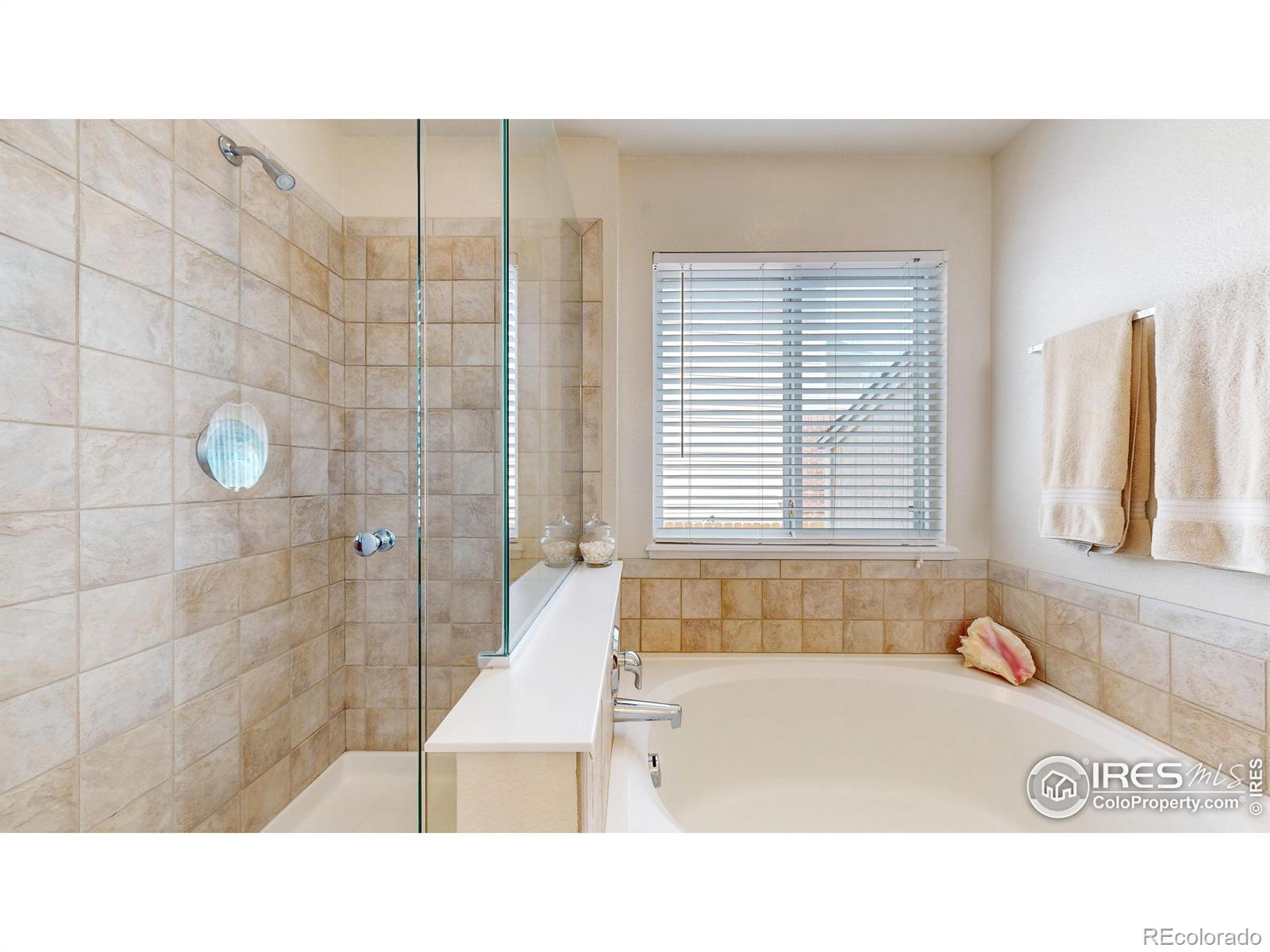 MLS Image #17 for 2139  andrews street,fort collins, Colorado