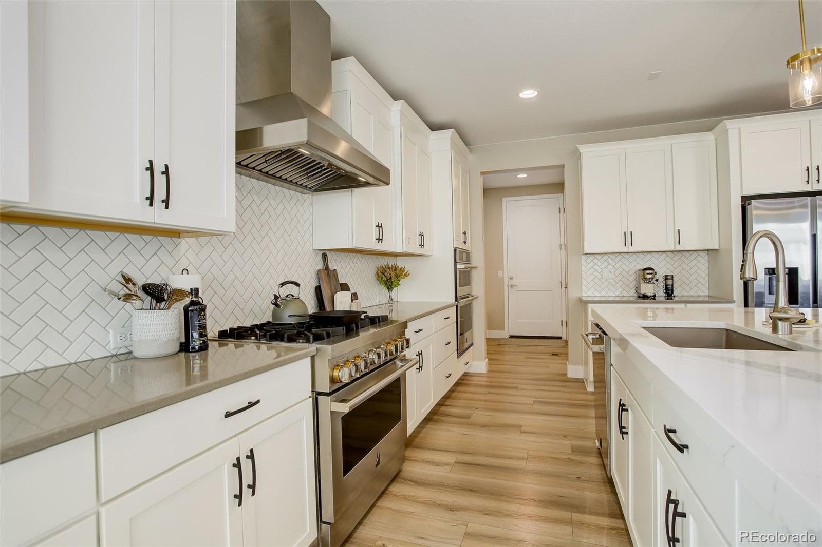 MLS Image #10 for 11142  bright sky street,littleton, Colorado