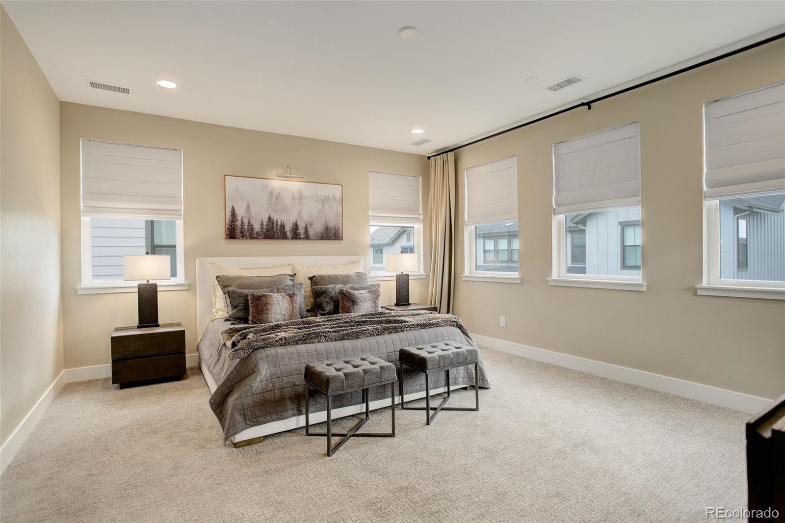 MLS Image #16 for 11142  bright sky street,littleton, Colorado