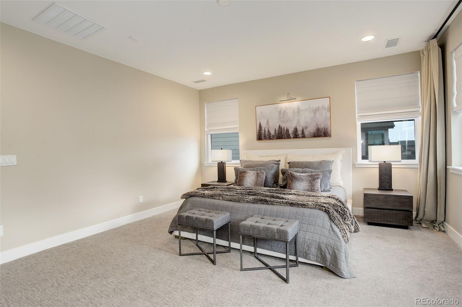 MLS Image #17 for 11142  bright sky street,littleton, Colorado