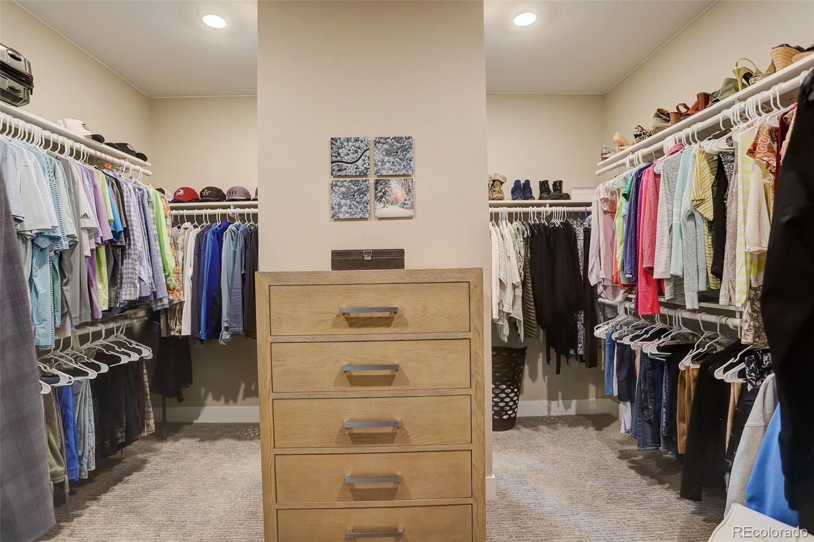 MLS Image #21 for 11142  bright sky street,littleton, Colorado