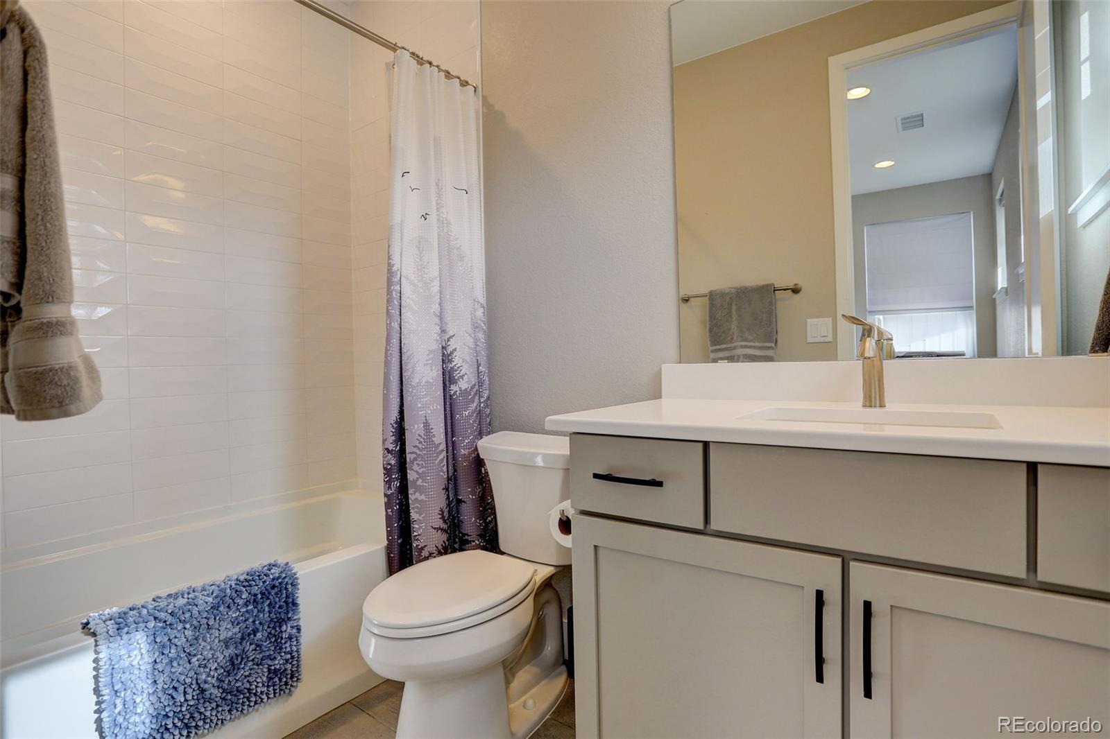 MLS Image #25 for 11142  bright sky street,littleton, Colorado