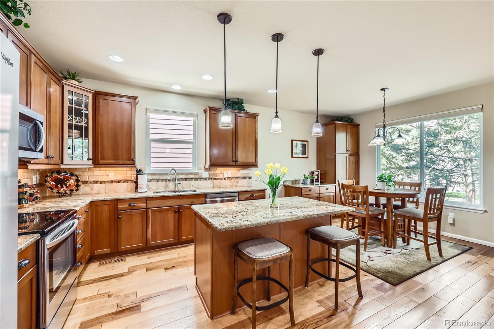 MLS Image #10 for 2872  dreamcatcher loop,castle rock, Colorado