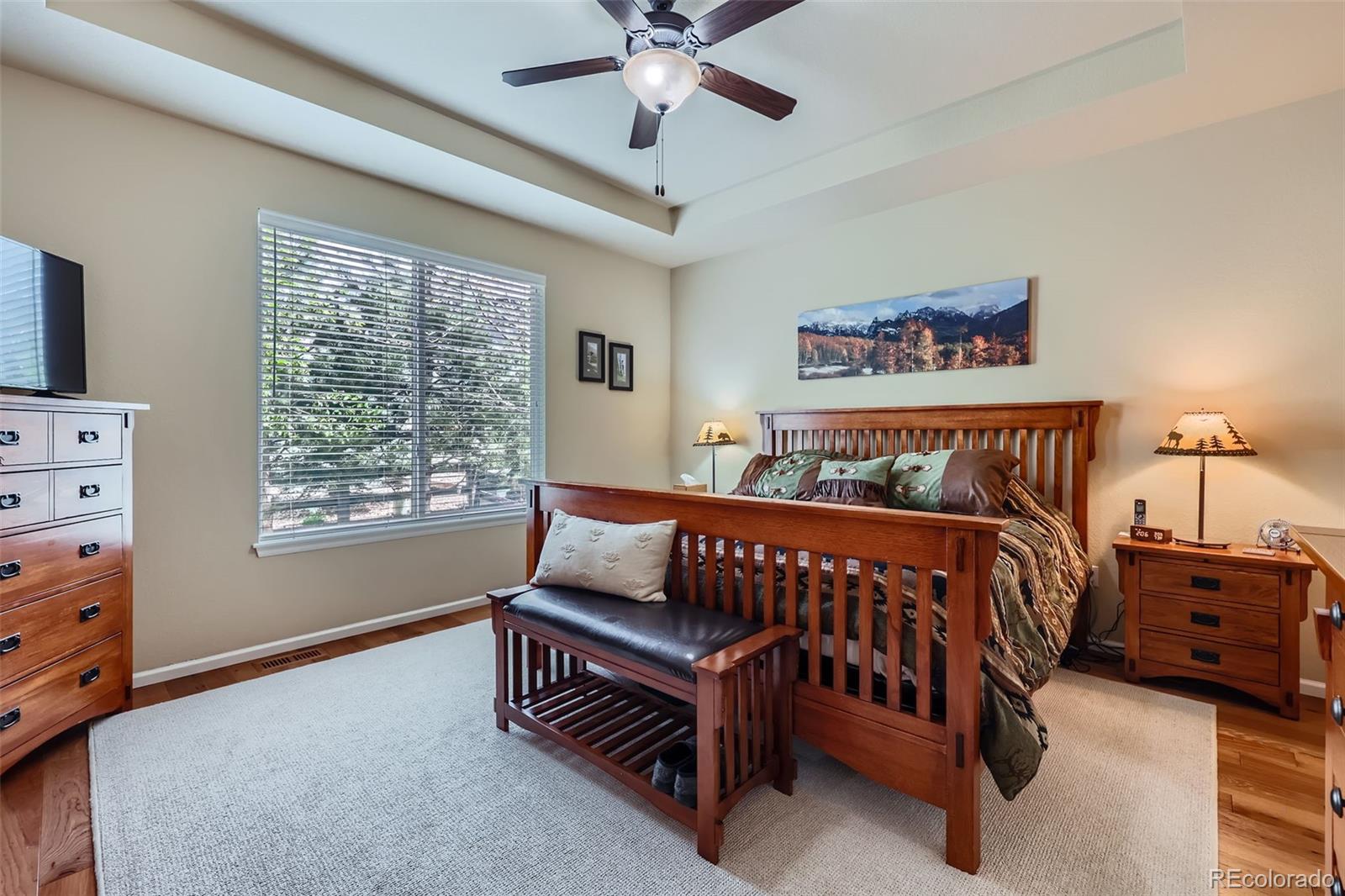 MLS Image #20 for 2872  dreamcatcher loop,castle rock, Colorado