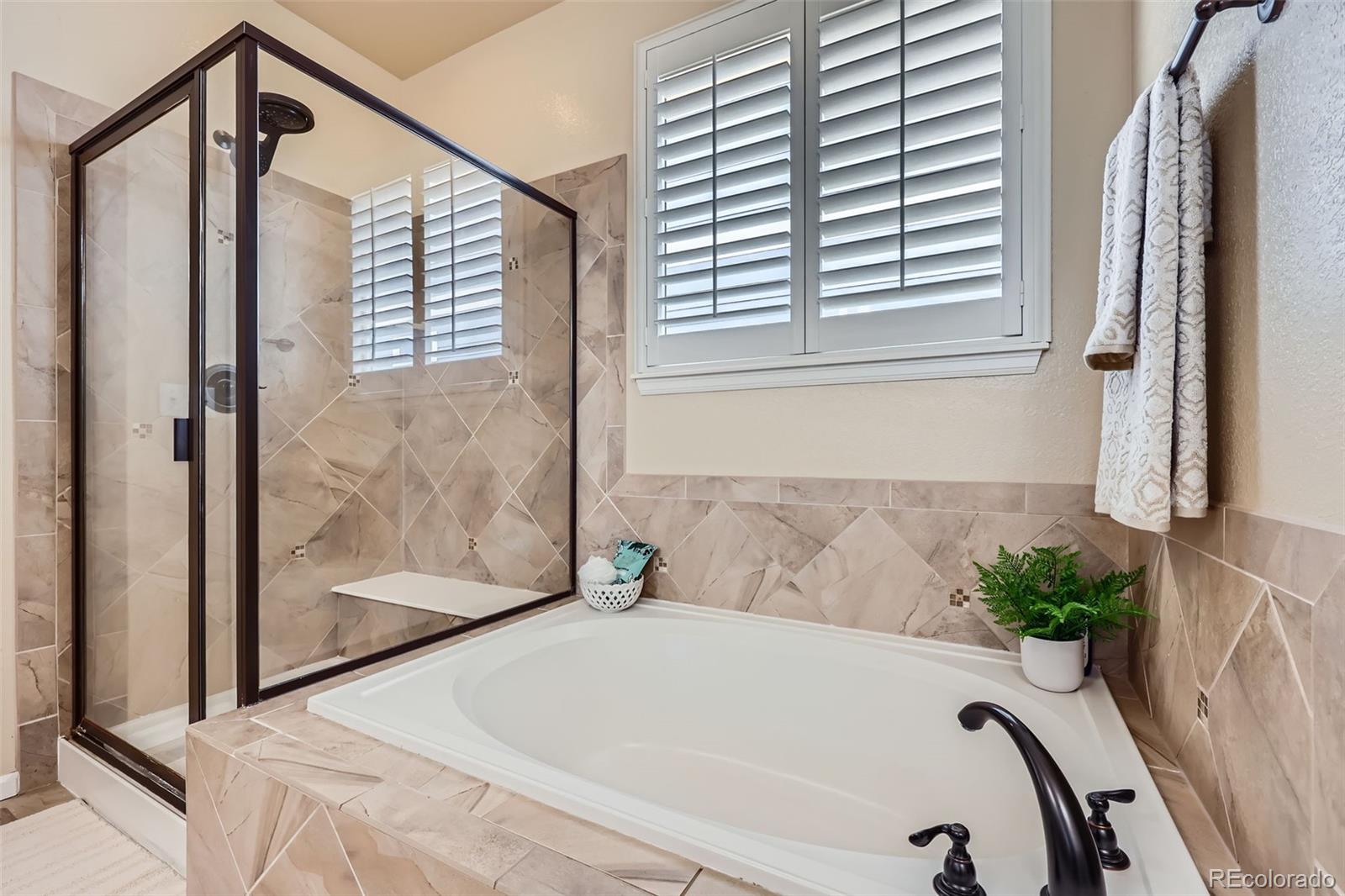 MLS Image #23 for 2872  dreamcatcher loop,castle rock, Colorado