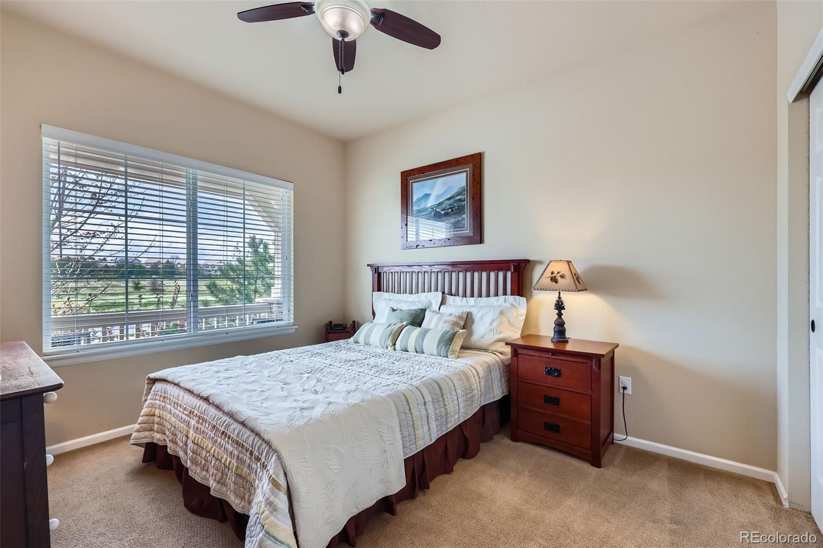 MLS Image #25 for 2872  dreamcatcher loop,castle rock, Colorado