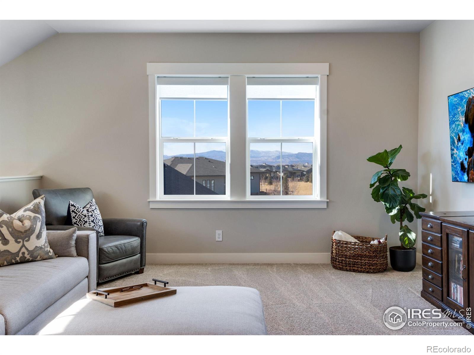 MLS Image #25 for 4268  ardglass lane,timnath, Colorado