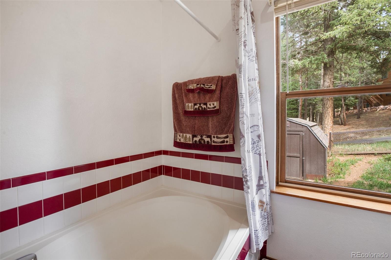 MLS Image #16 for 2997  sunnywood avenue,woodland park, Colorado