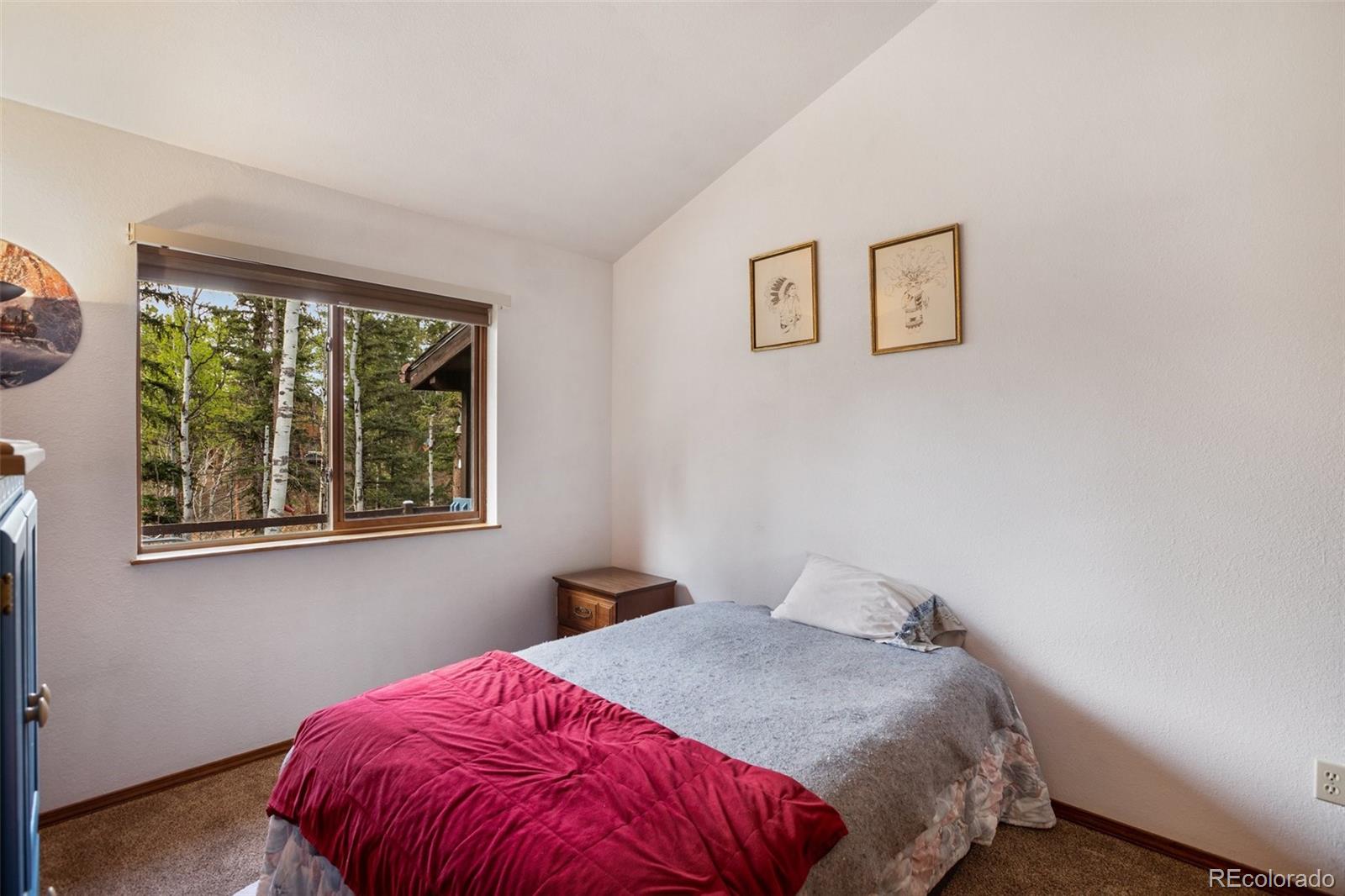 MLS Image #19 for 2997  sunnywood avenue,woodland park, Colorado