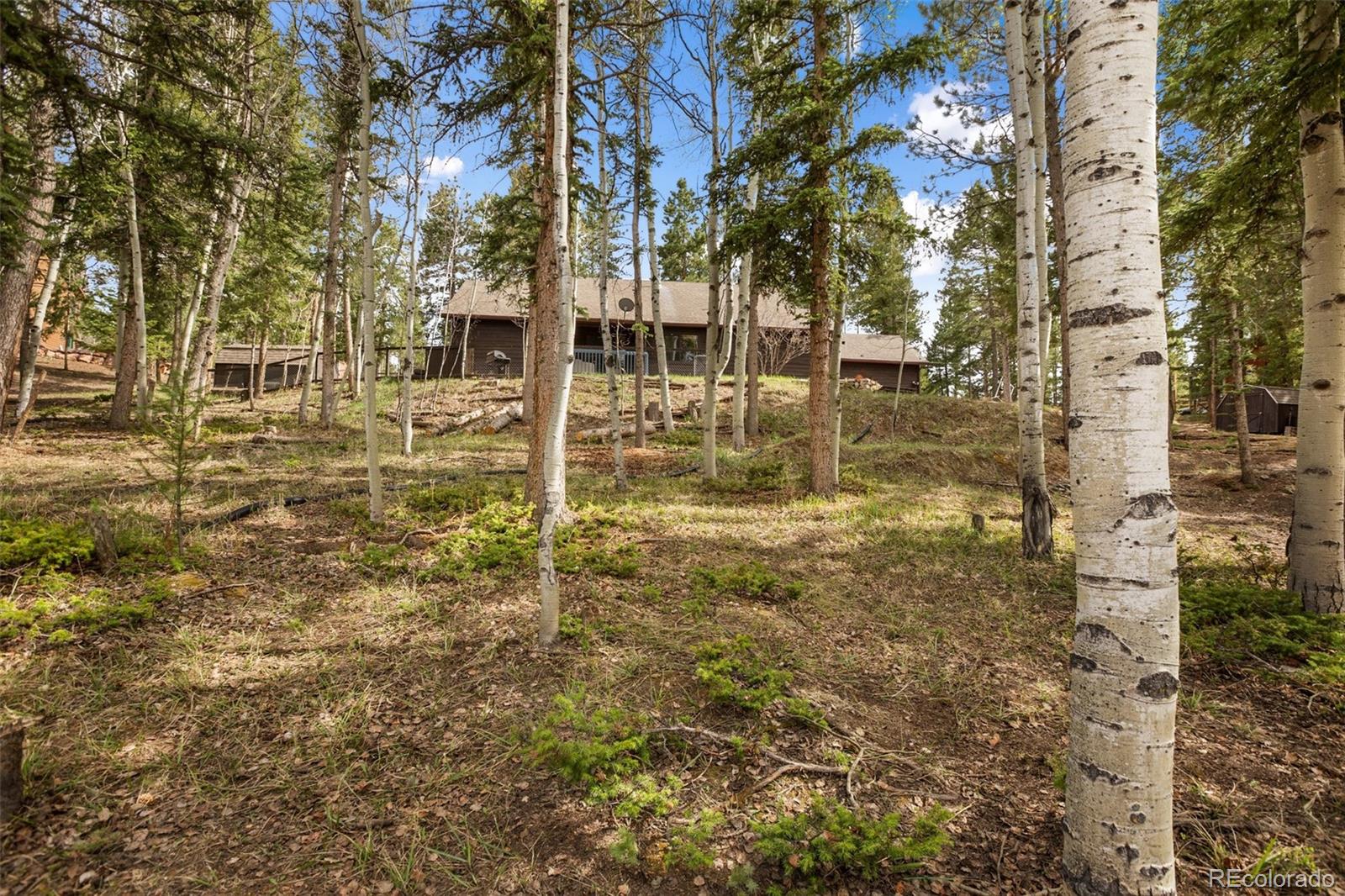 MLS Image #29 for 2997  sunnywood avenue,woodland park, Colorado