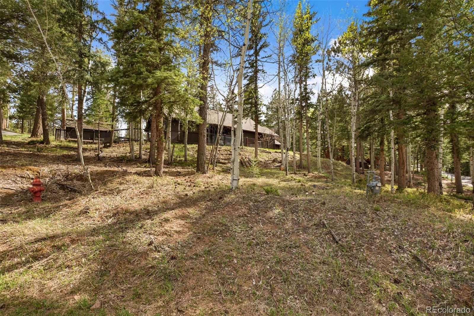 MLS Image #30 for 2997  sunnywood avenue,woodland park, Colorado