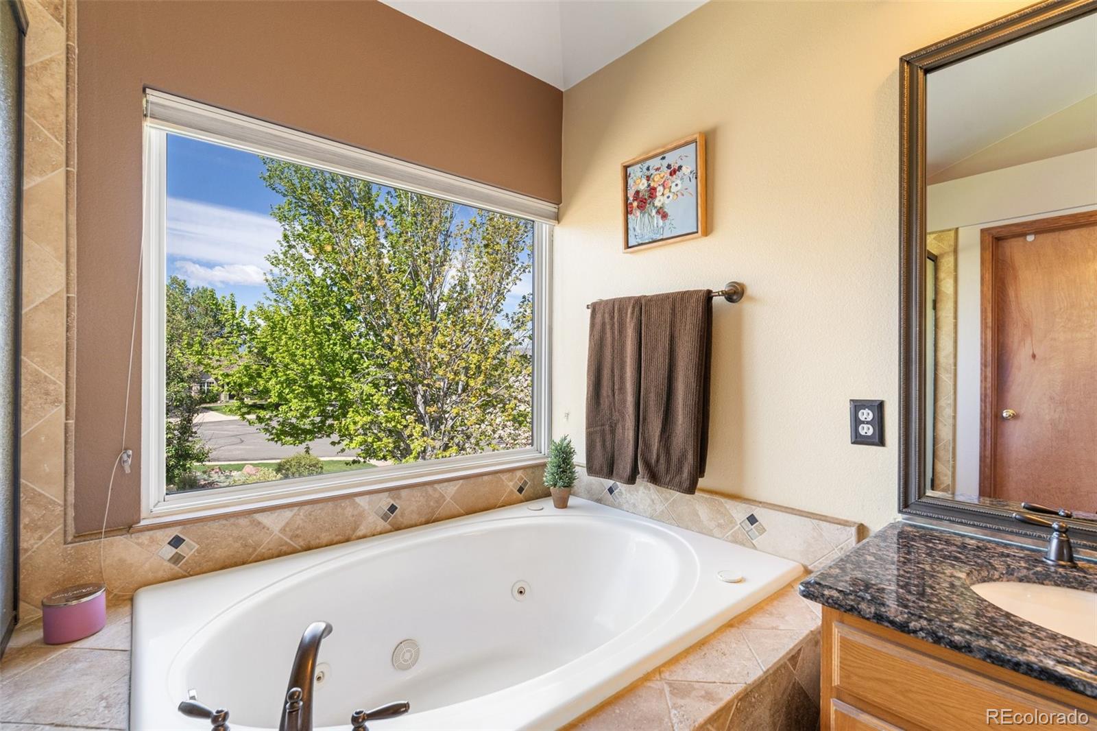 MLS Image #23 for 5996  maroon mesa drive,colorado springs, Colorado