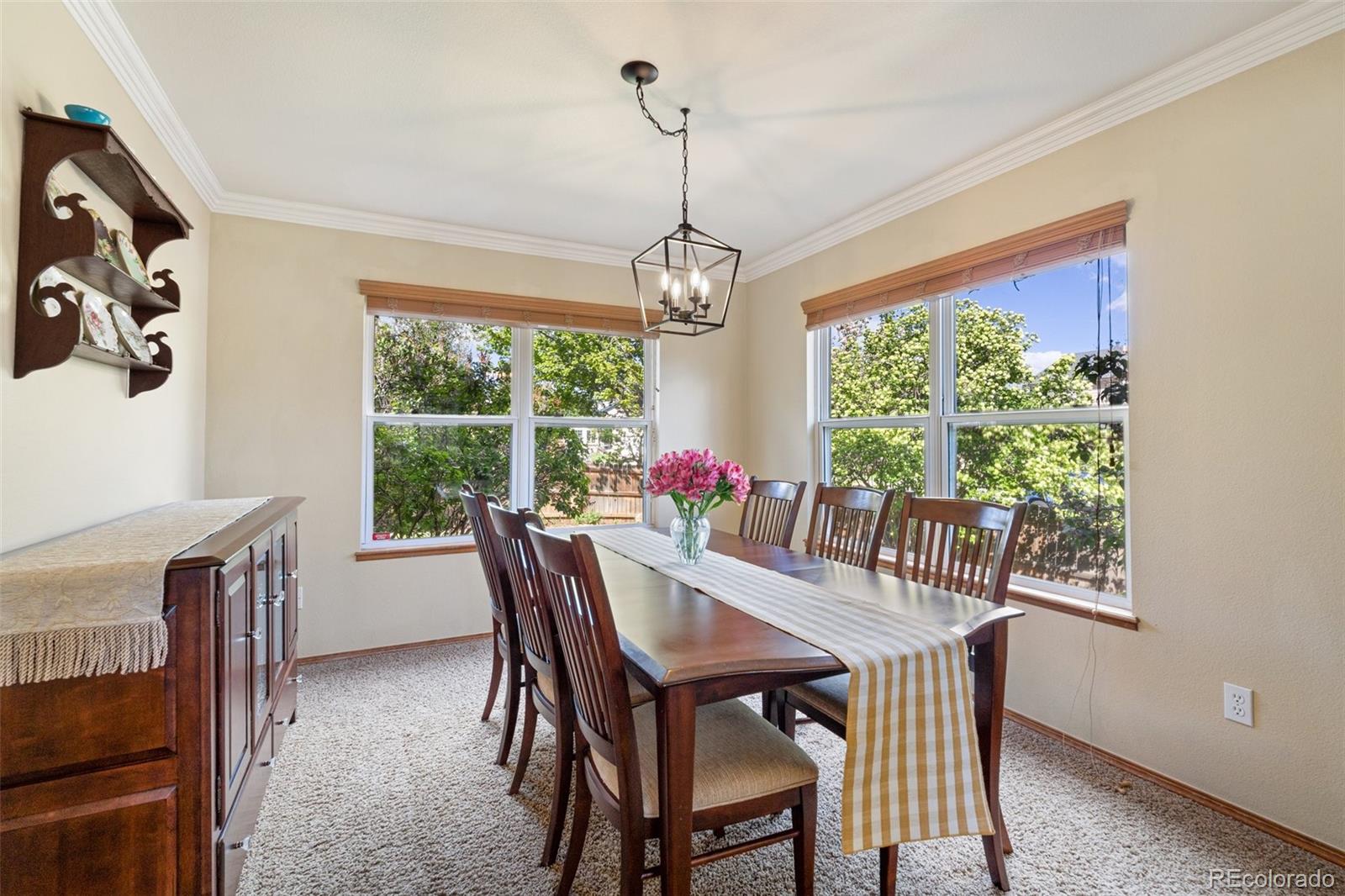 MLS Image #6 for 5996  maroon mesa drive,colorado springs, Colorado