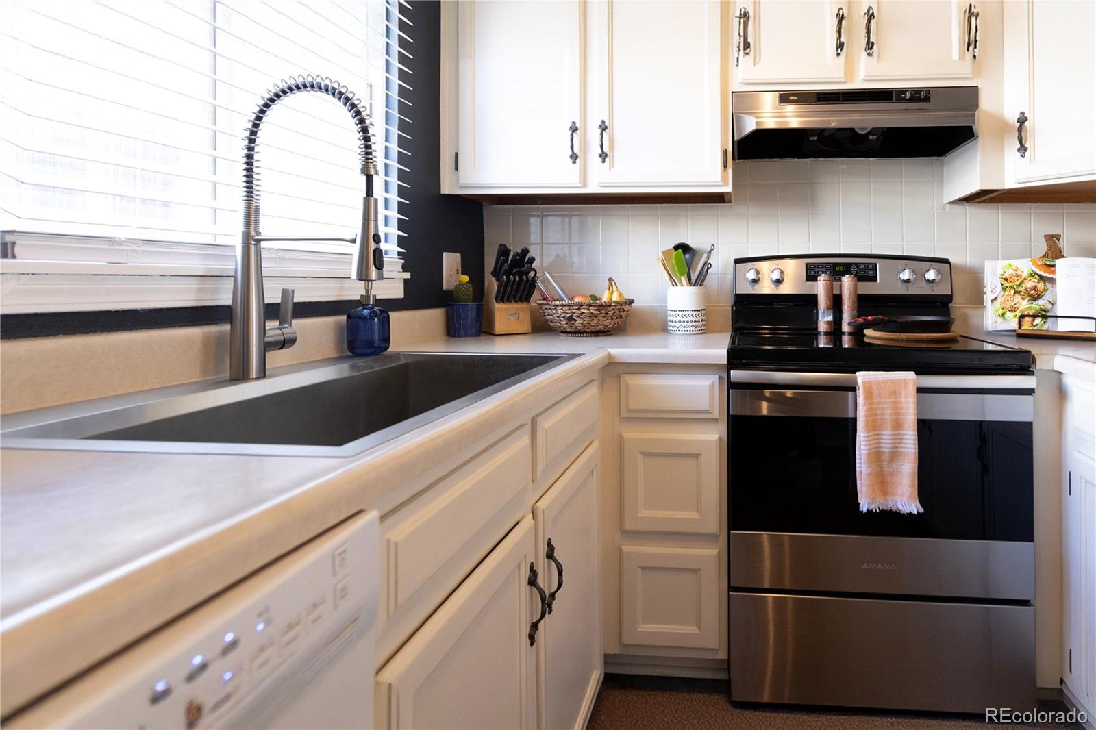 MLS Image #11 for 19738  applewood court,parker, Colorado