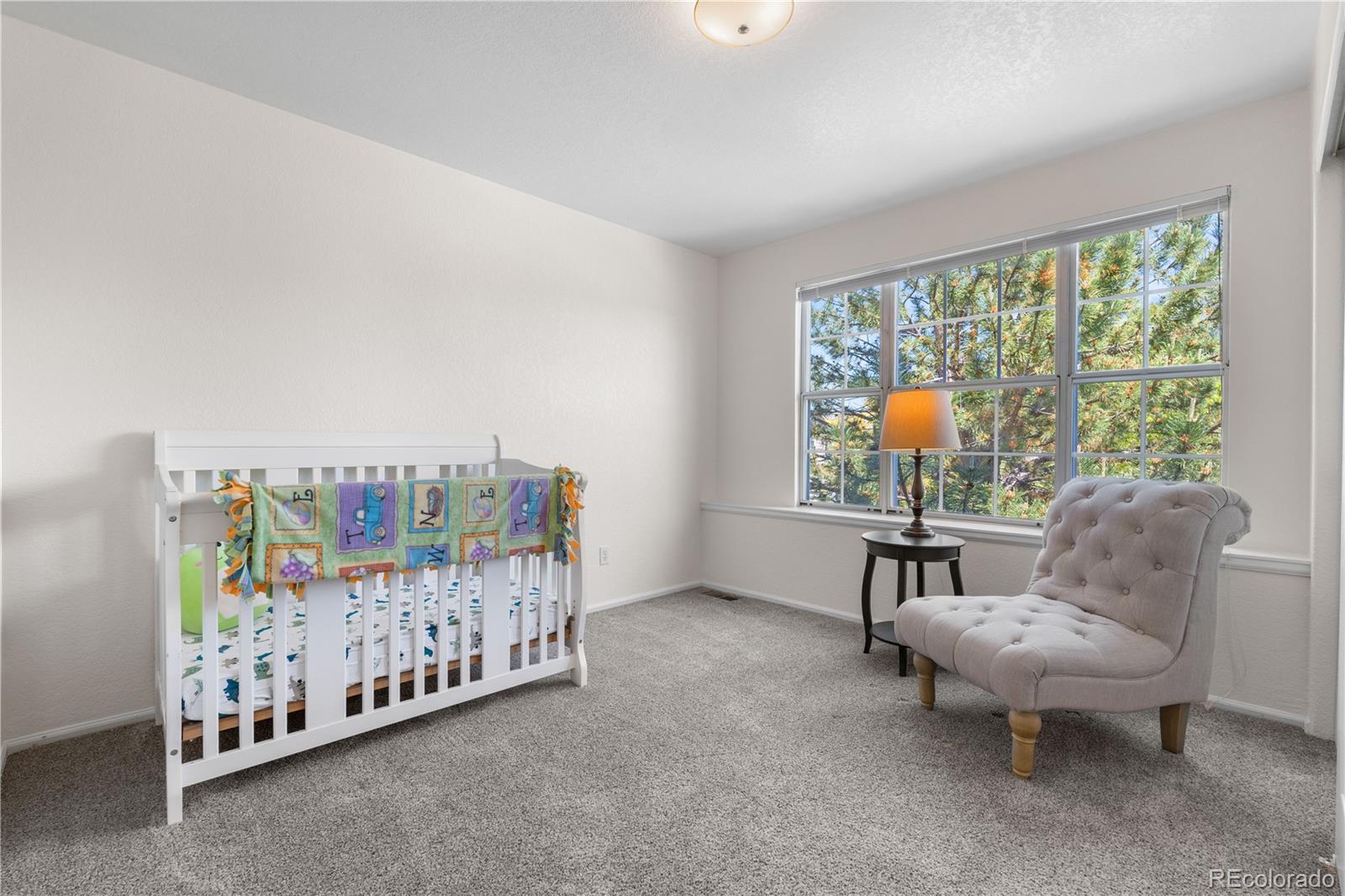 MLS Image #16 for 3102  white oak trail,highlands ranch, Colorado