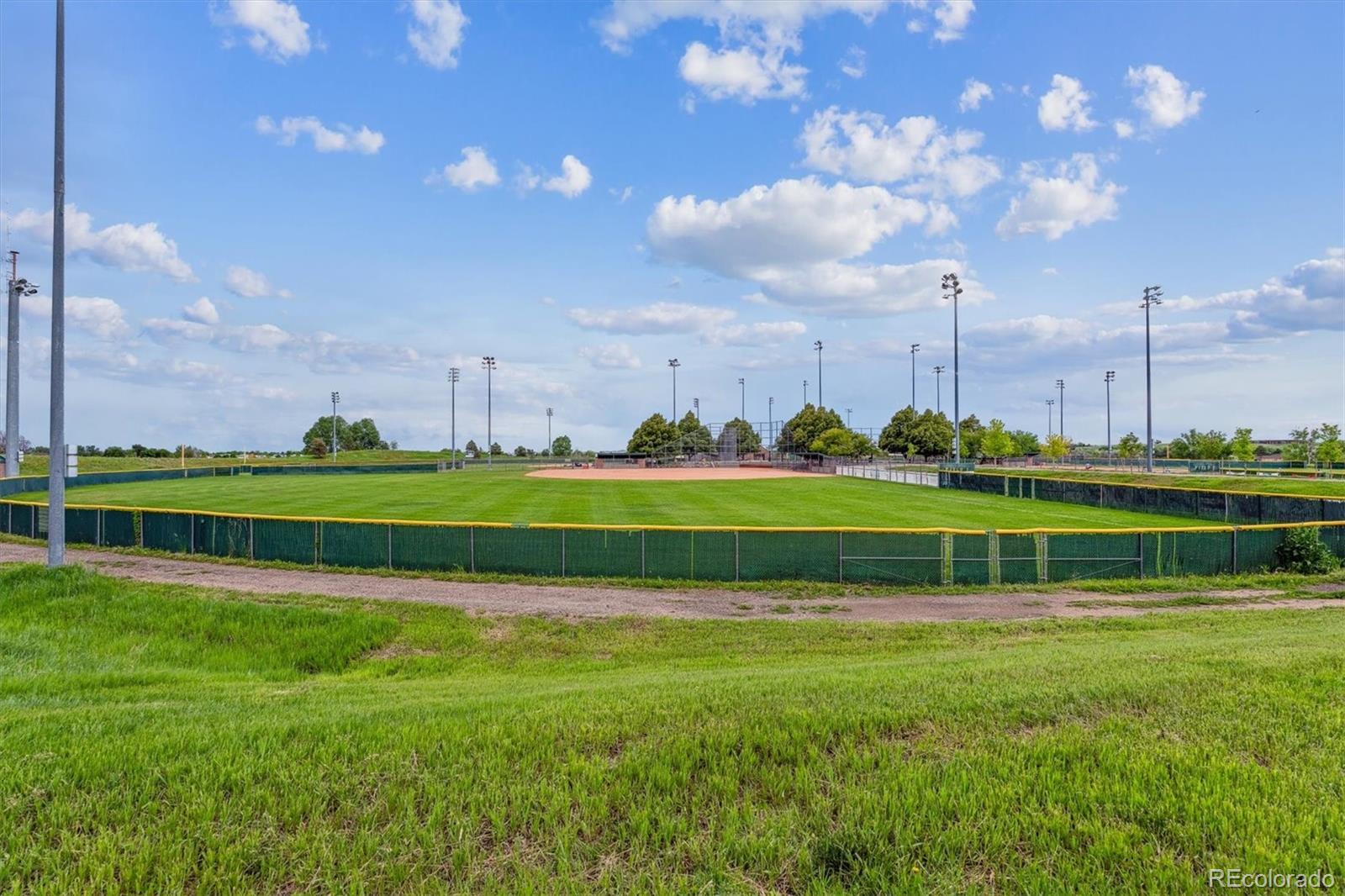 MLS Image #42 for 1101  spruce street,louisville, Colorado