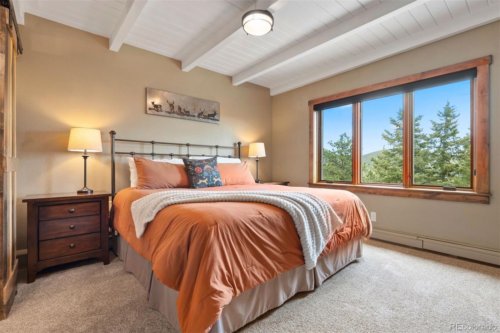 MLS Image #25 for 187  marion drive,evergreen, Colorado