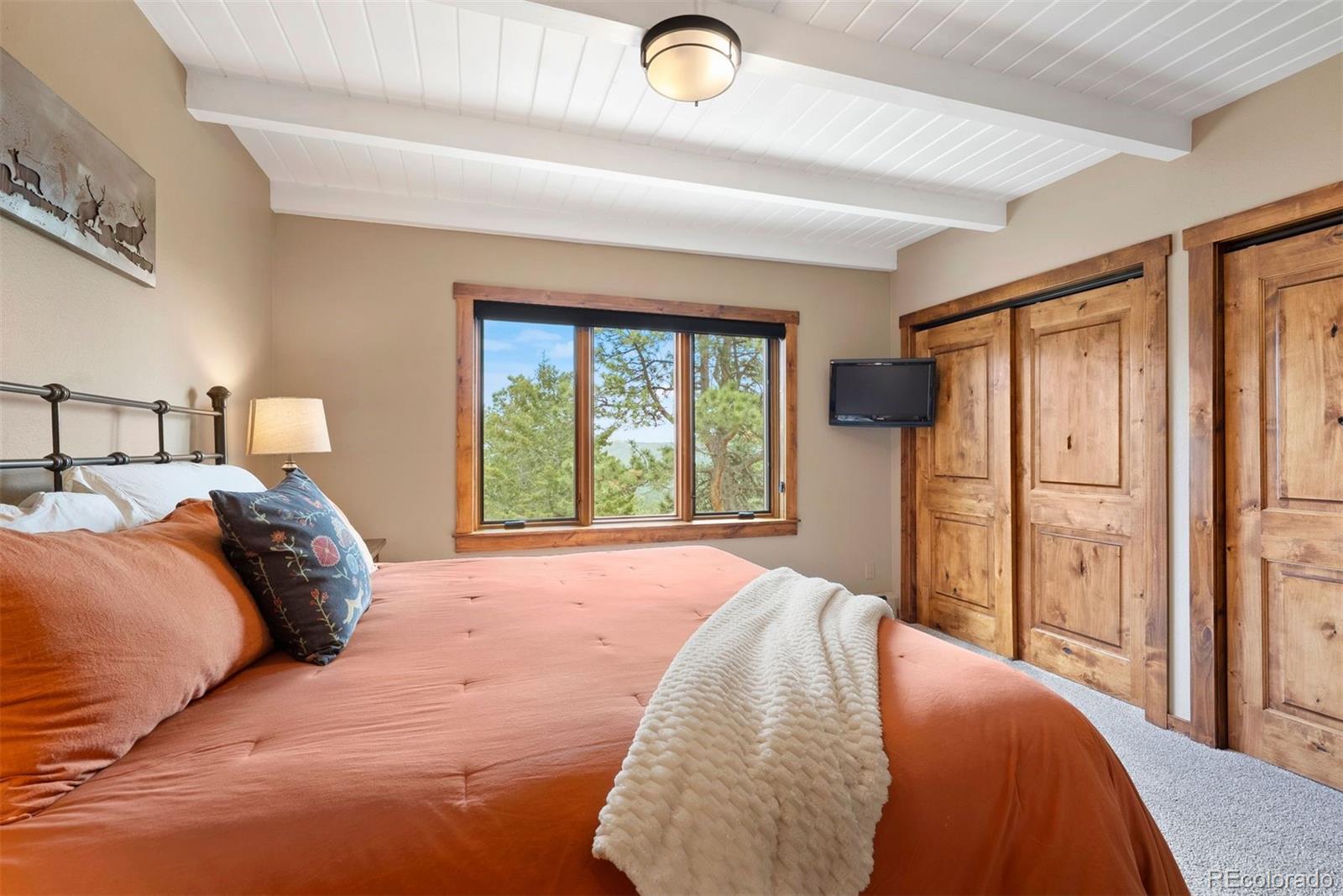 MLS Image #26 for 187  marion drive,evergreen, Colorado