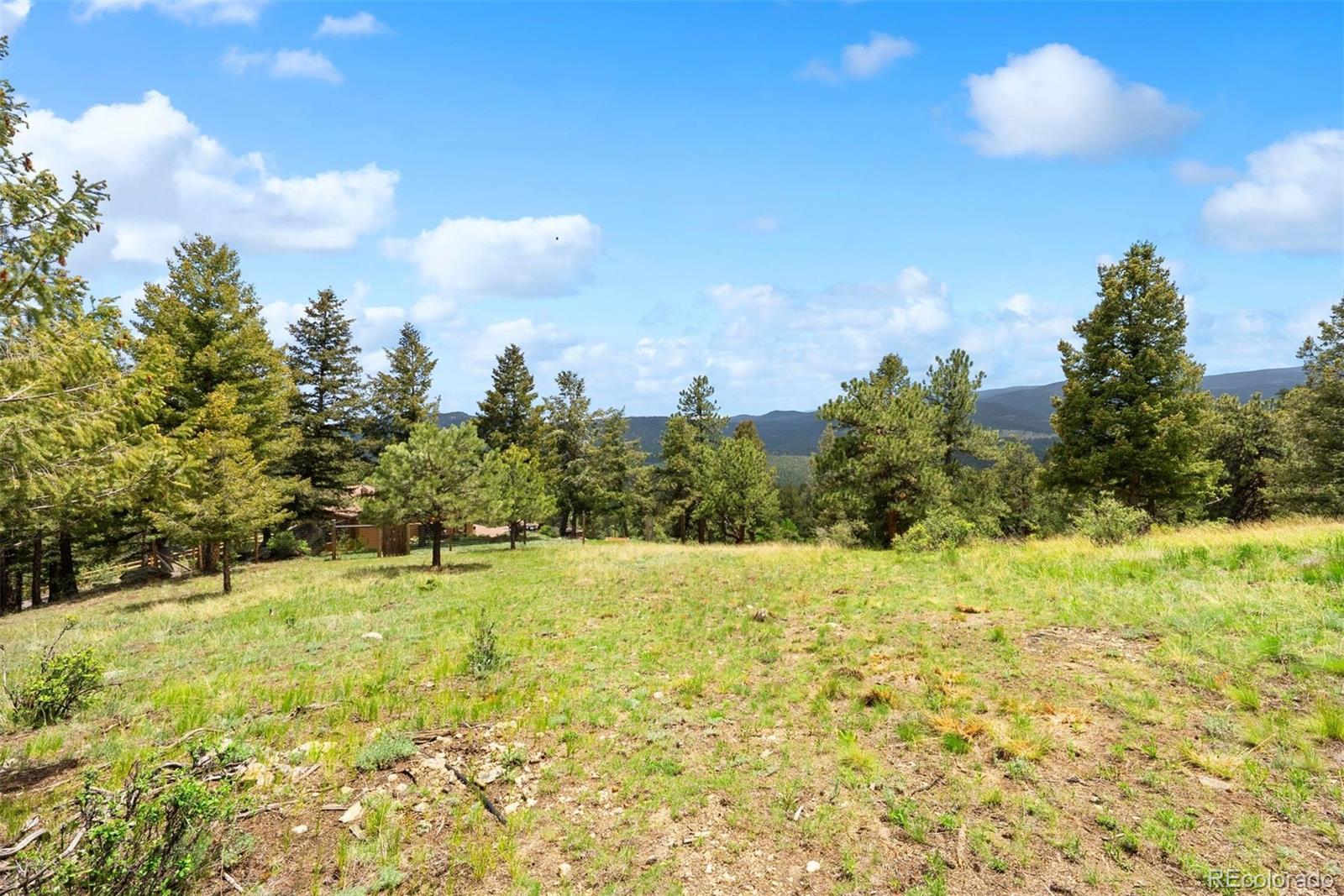 MLS Image #43 for 187  marion drive,evergreen, Colorado