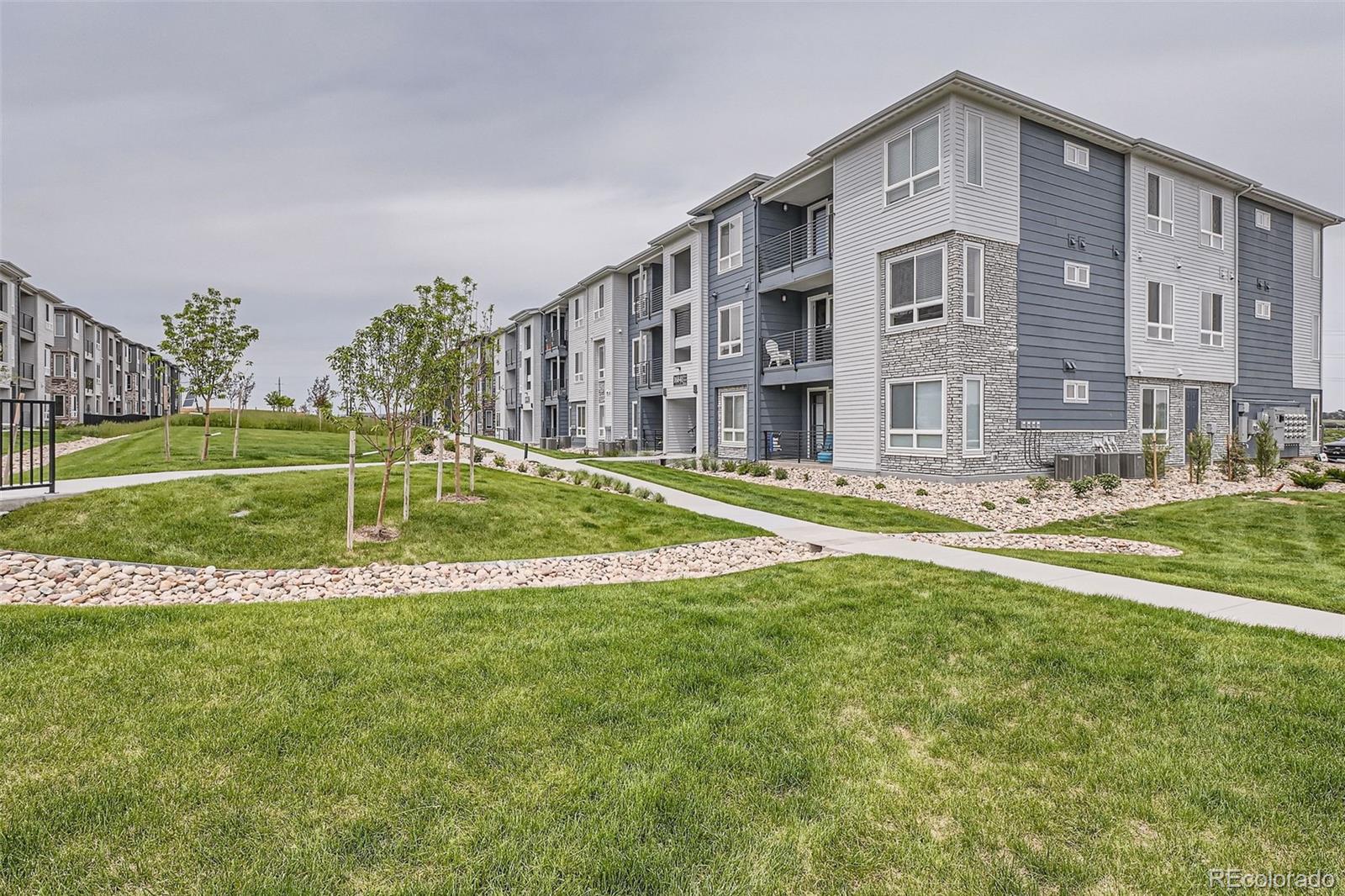 MLS Image #9 for 16841  askins loop,parker, Colorado