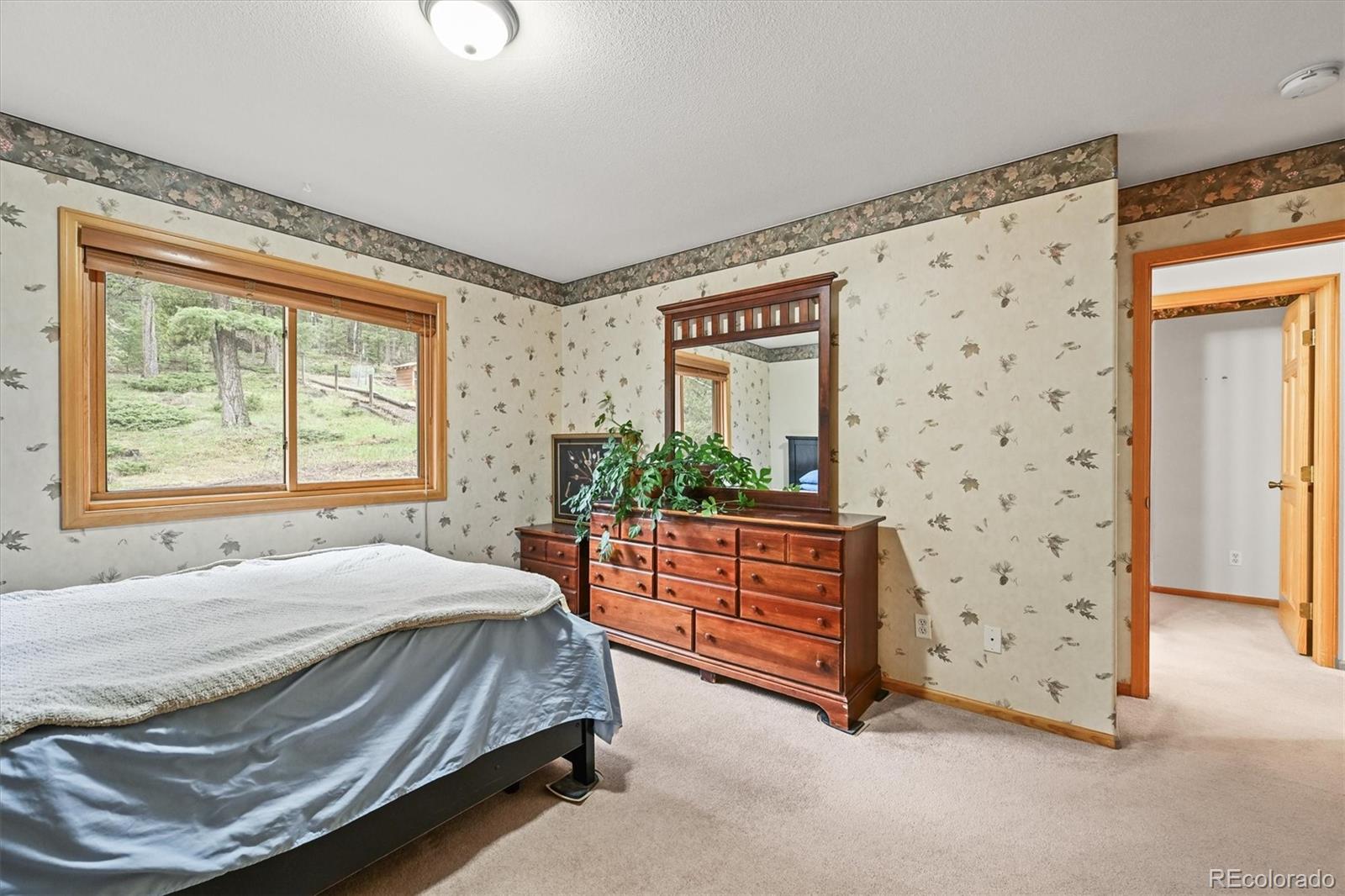 MLS Image #21 for 29825  kennedy gulch road,conifer, Colorado