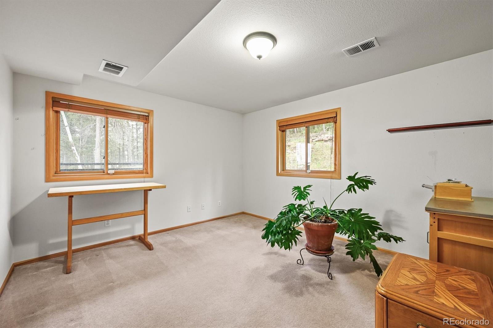 MLS Image #25 for 29825  kennedy gulch road,conifer, Colorado