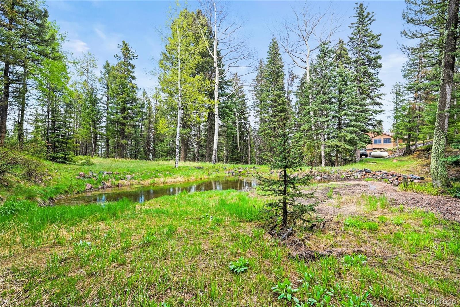 MLS Image #29 for 29825  kennedy gulch road,conifer, Colorado