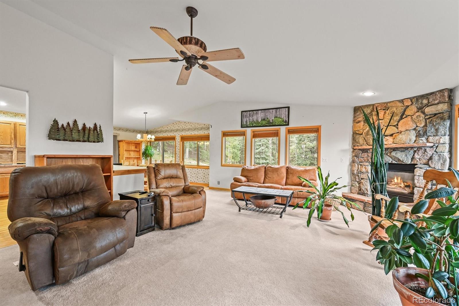 MLS Image #3 for 29825  kennedy gulch road,conifer, Colorado