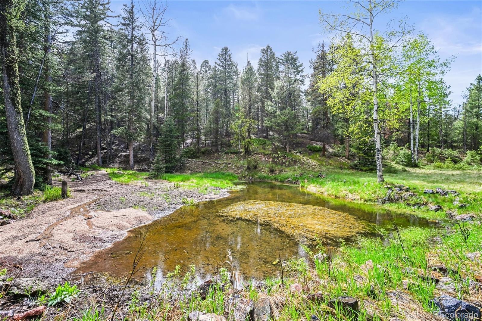 MLS Image #30 for 29825  kennedy gulch road,conifer, Colorado