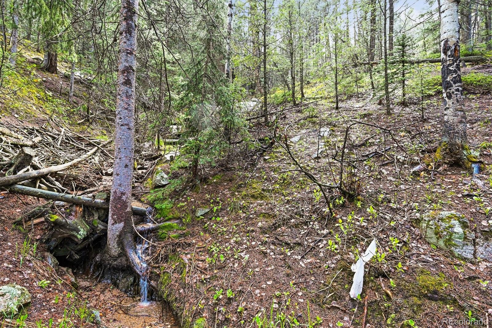 MLS Image #31 for 29825  kennedy gulch road,conifer, Colorado