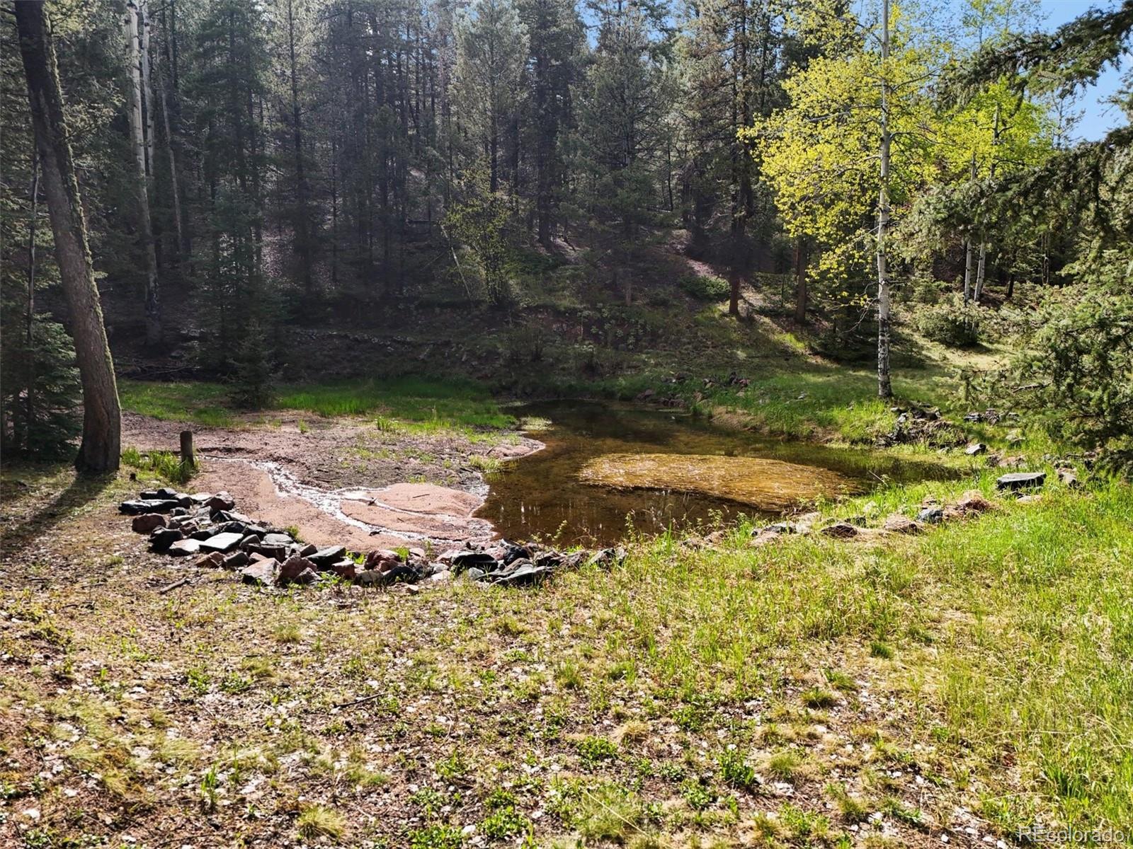 MLS Image #32 for 29825  kennedy gulch road,conifer, Colorado