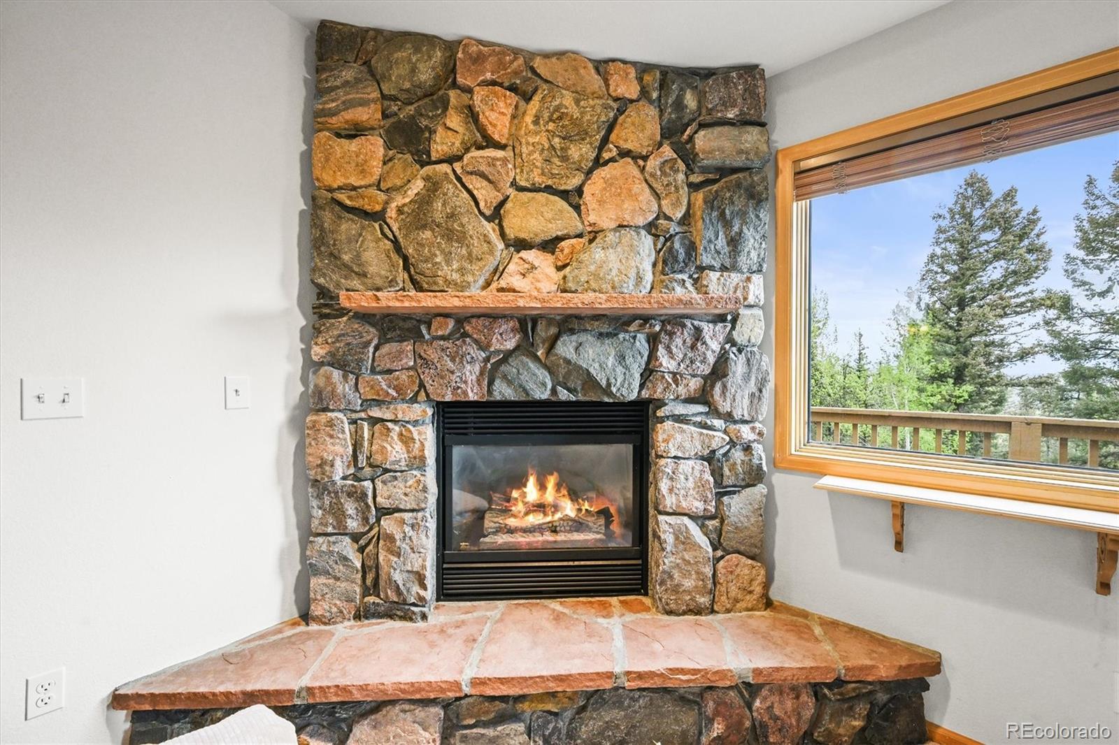 MLS Image #4 for 29825  kennedy gulch road,conifer, Colorado
