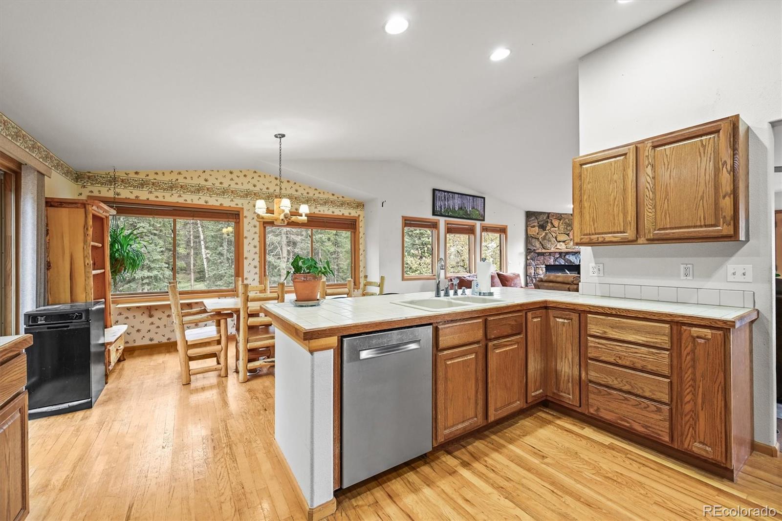 MLS Image #8 for 29825  kennedy gulch road,conifer, Colorado