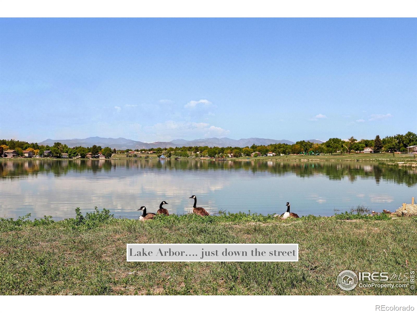 MLS Image #39 for 8290  chase way,arvada, Colorado