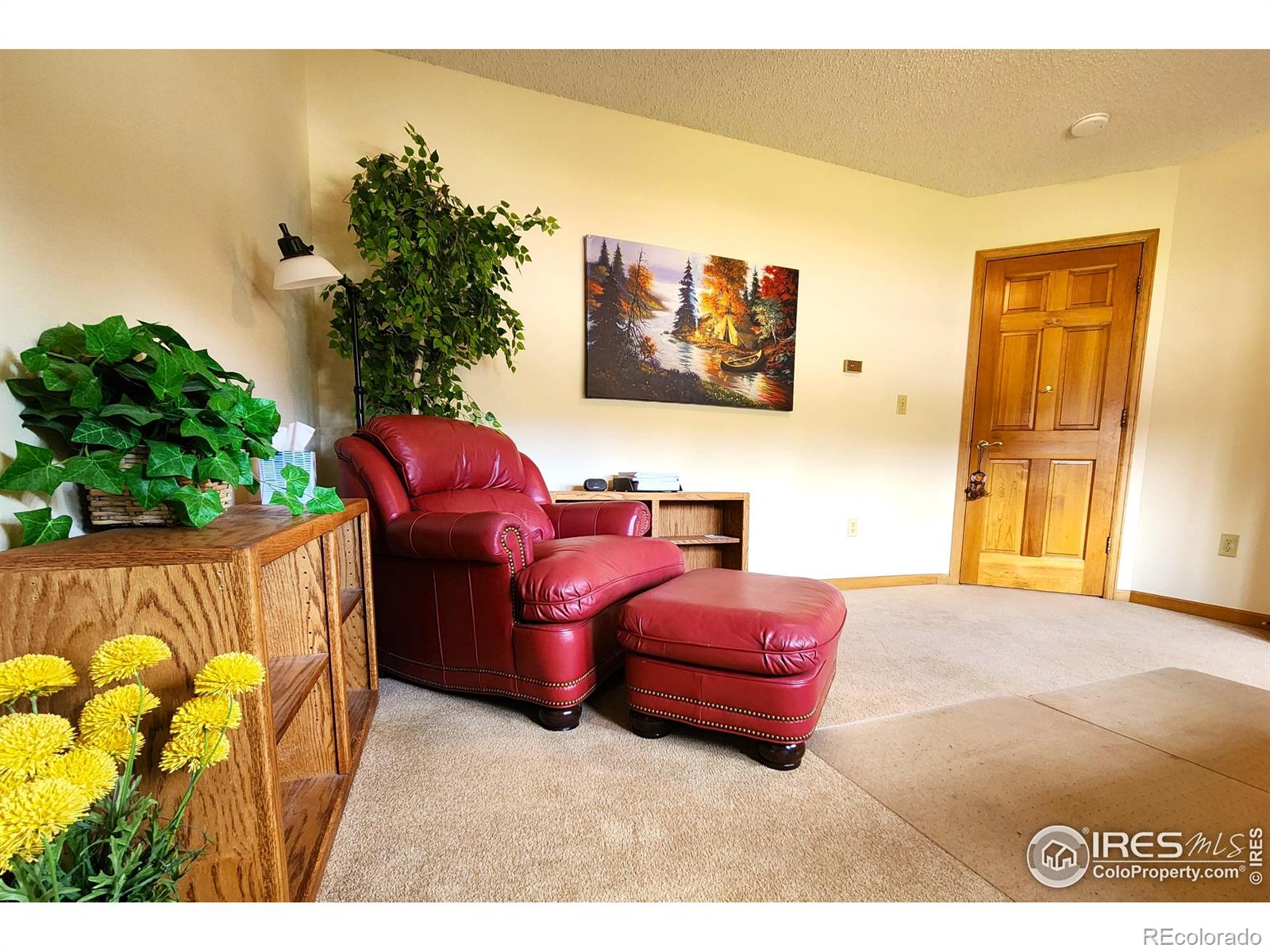 MLS Image #22 for 1443  matthew circle,estes park, Colorado