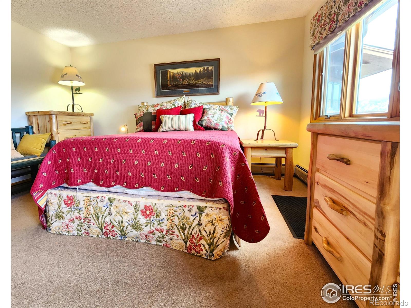 MLS Image #26 for 1443  matthew circle,estes park, Colorado