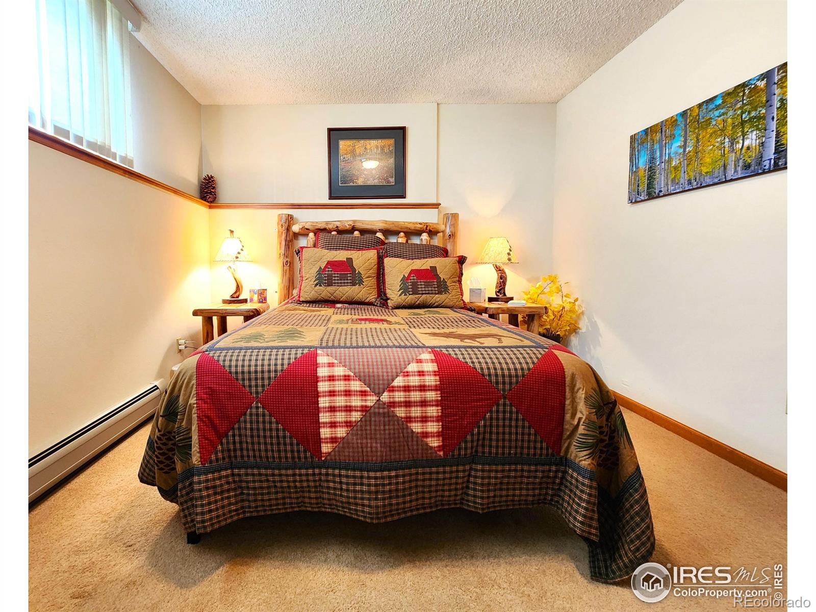 MLS Image #30 for 1443  matthew circle,estes park, Colorado