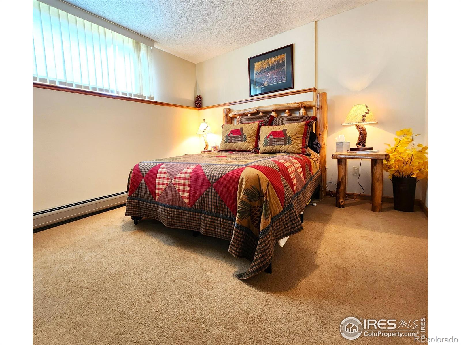 MLS Image #31 for 1443  matthew circle,estes park, Colorado