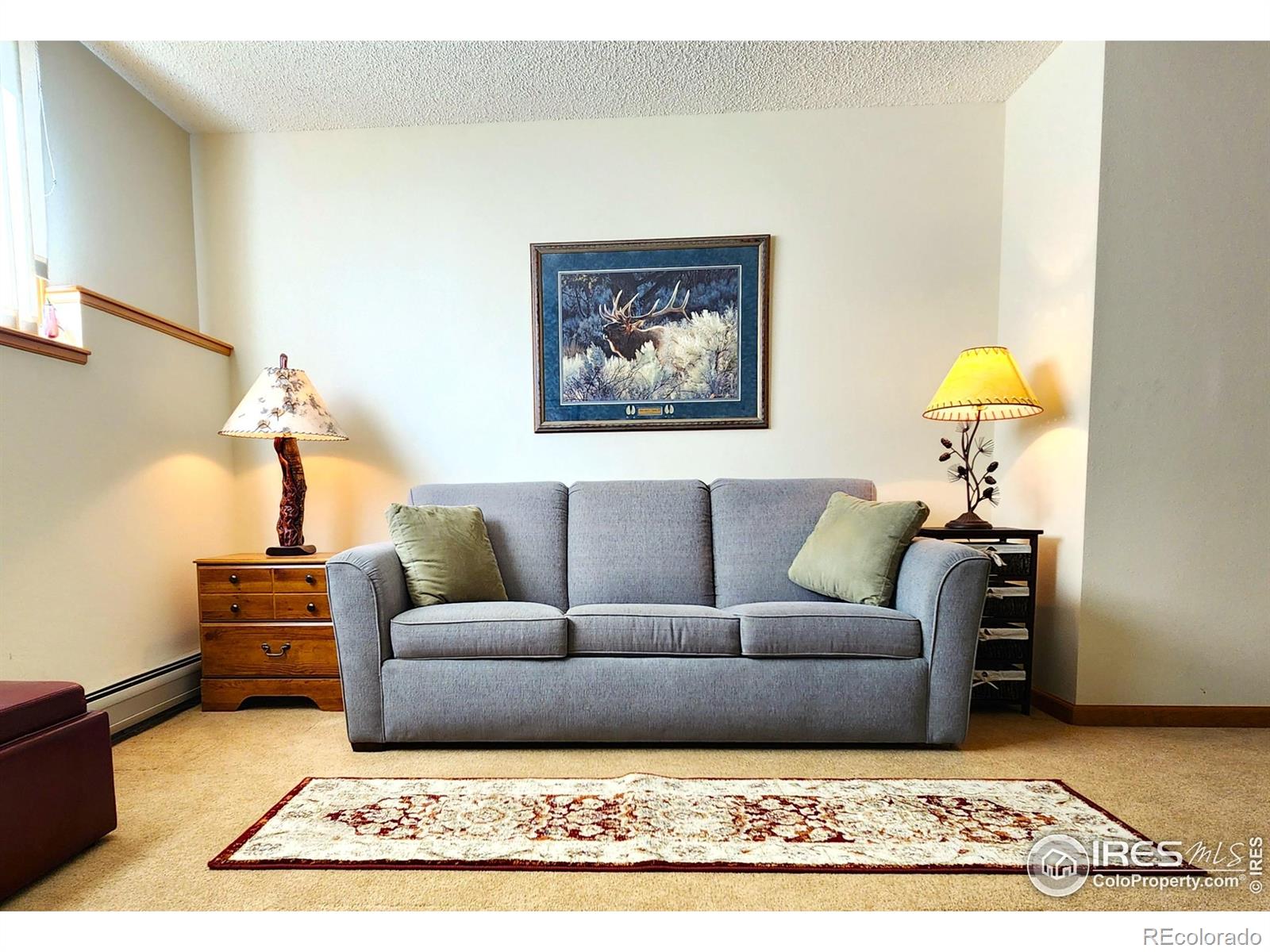 MLS Image #36 for 1443  matthew circle,estes park, Colorado